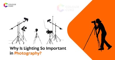 Why Is Lighting So Important in Photography?