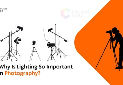 Why Is Lighting So Important in Photography?