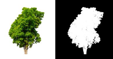 Background Removal vs. Clipping Path Which One Should You Choose