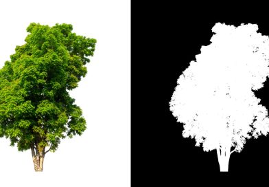 Background Removal vs. Clipping Path Which One Should You Choose