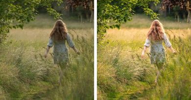 The Ultimate Guide to Professional Photo Editing Services in 2026