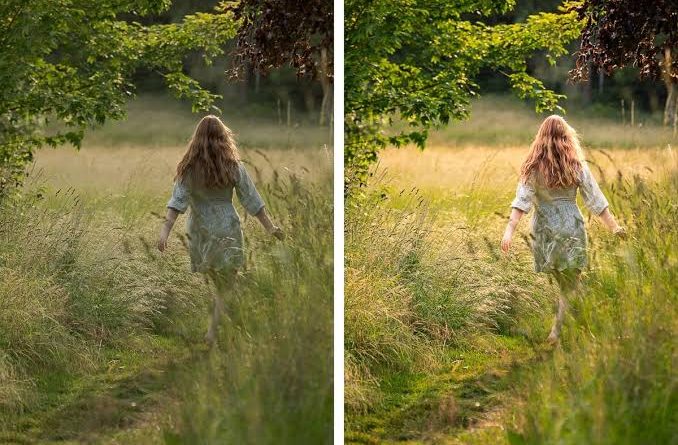 The Ultimate Guide to Professional Photo Editing Services in 2026
